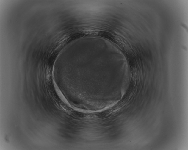X0000091181154200709060948