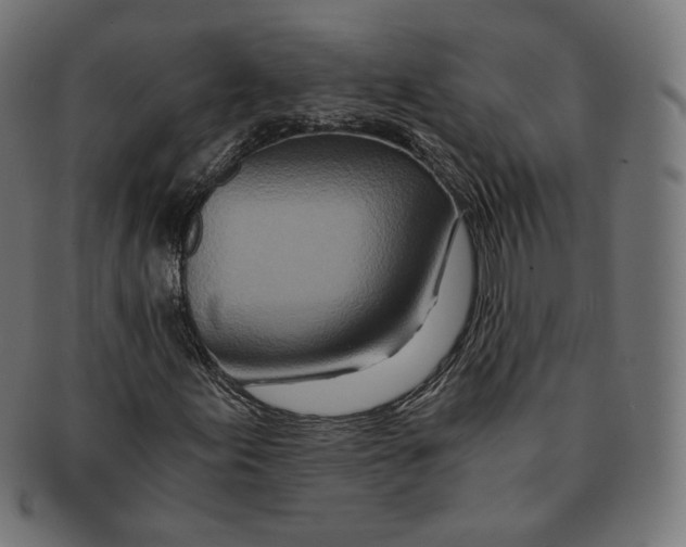 X0000091181155200709060948