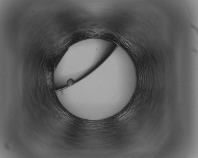 X0000091181156200709060948