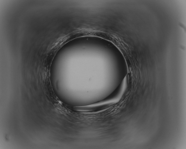 X0000091181157200709060948