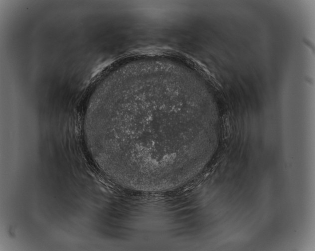 X0000091181158200709060948