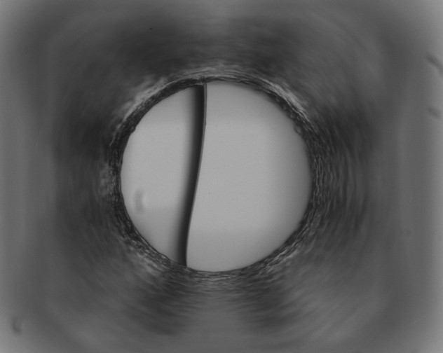 X0000091181160200709060948