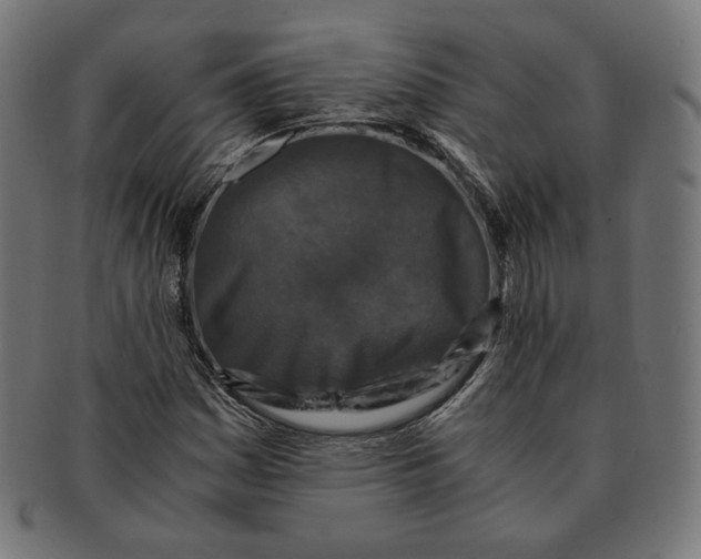 X0000091181161200709060948
