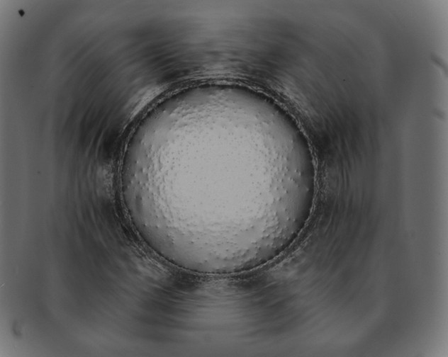 X0000091181162200709060948