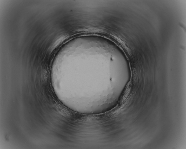 X0000091181163200709060948