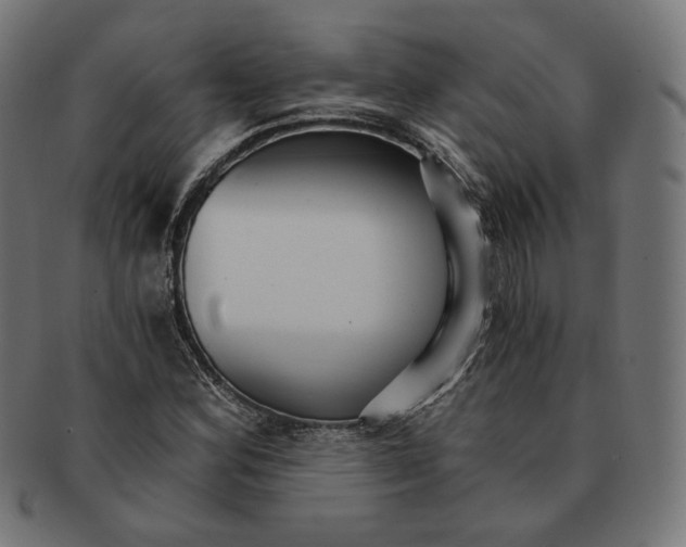 X0000091181164200709060948