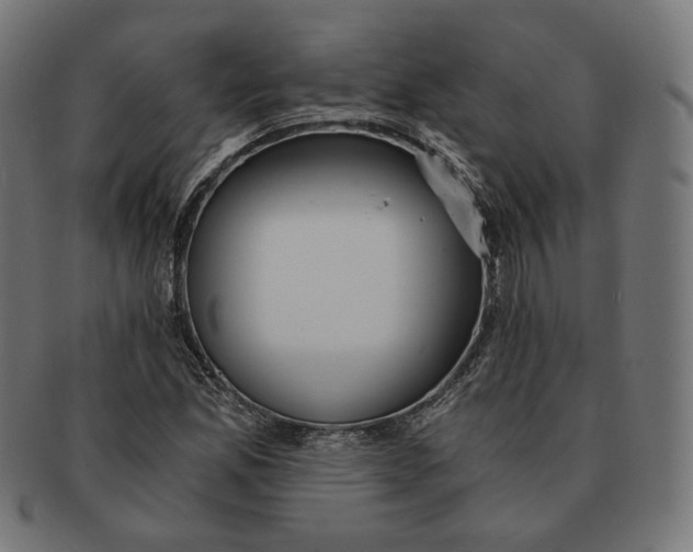 X0000091181165200709060948