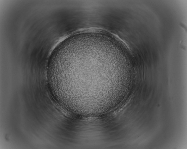 X0000091181166200709060948
