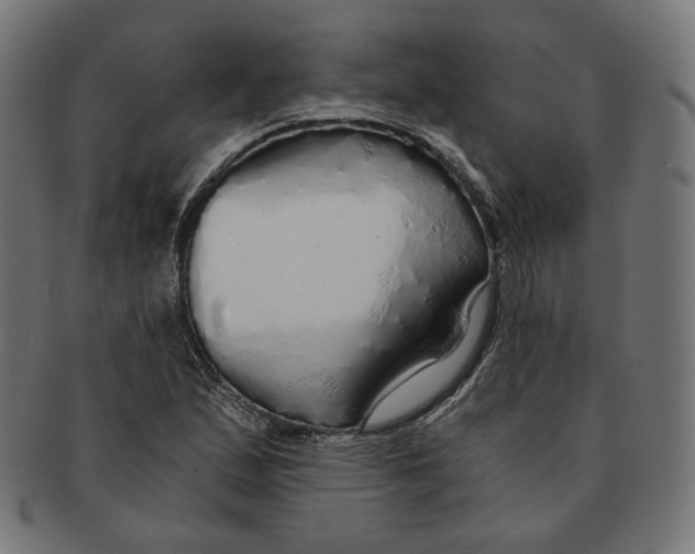 X0000091181167200709060948