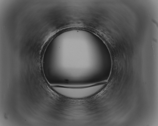 X0000091181168200709060948