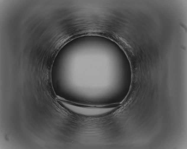 X0000091181169200709060948