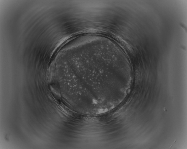 X0000091181170200709060948