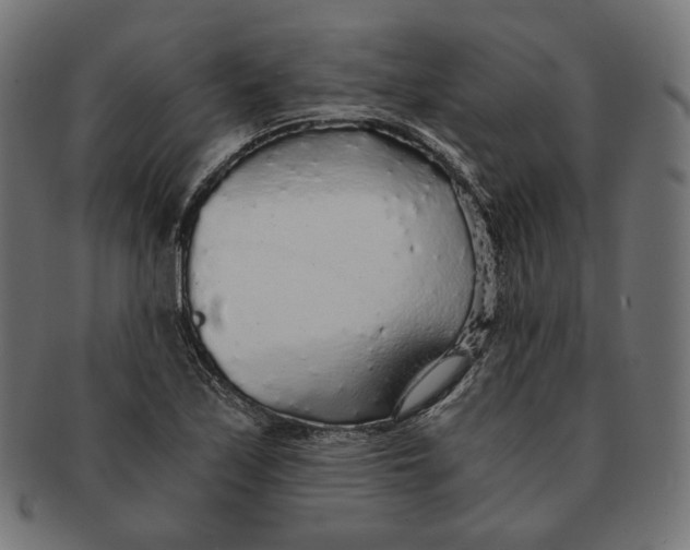 X0000091181171200709060948