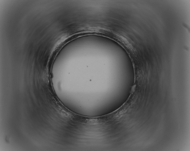 X0000091181172200709060948