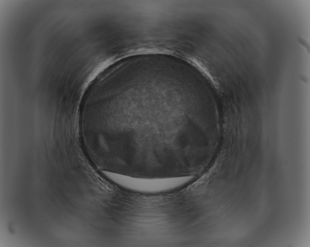 X0000091181173200709060948