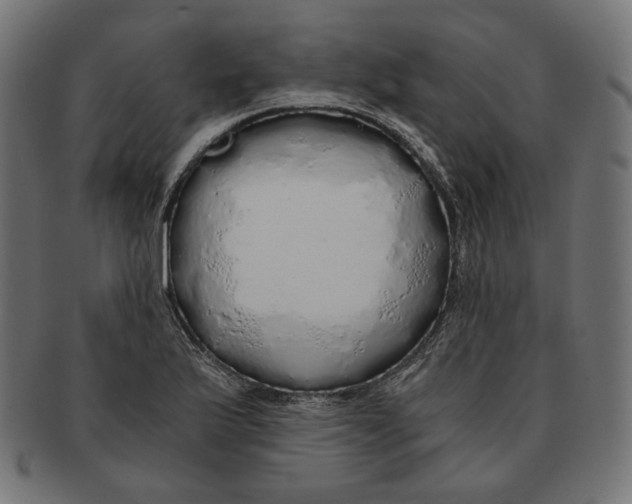 X0000091181175200709060948