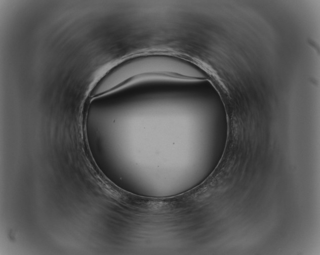 X0000091181176200709060948