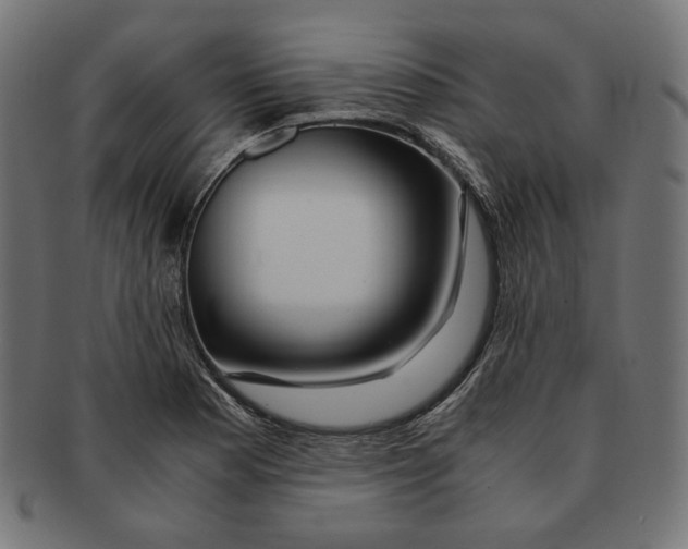 X0000091181177200709060948