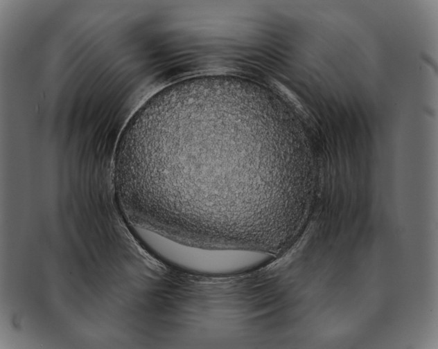 X0000091181178200709060948