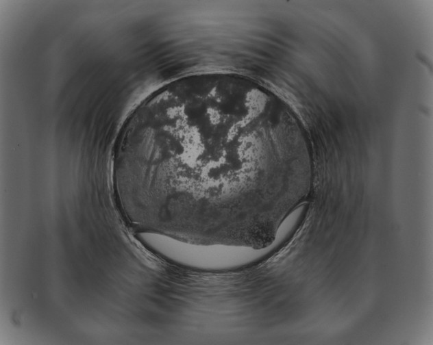 X0000091181179200709060948