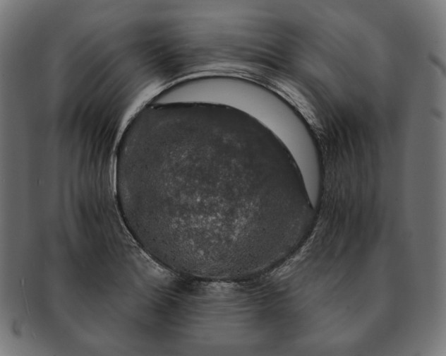 X0000091181180200709060948
