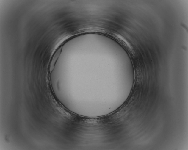 X0000091181182200709060948