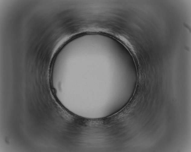 X0000091181183200709060948