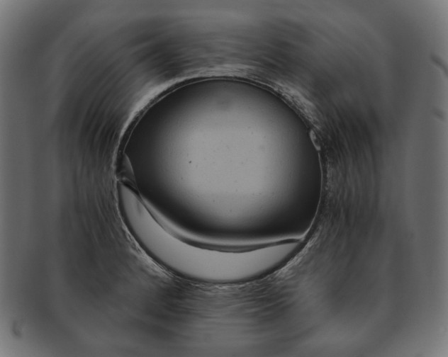 X0000091181184200709060948