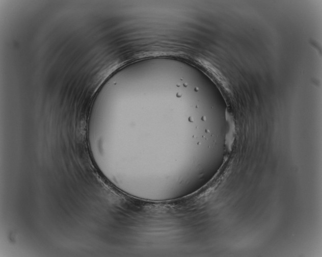 X0000091181185200709060948