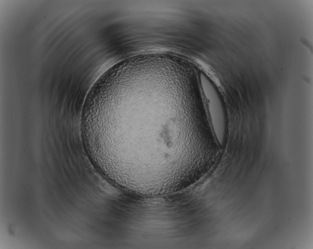X0000091181186200709060948