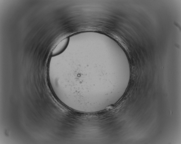 X0000091181187200709060948