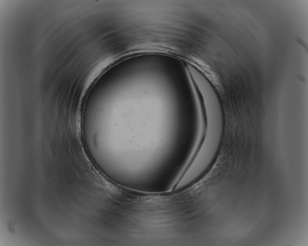 X0000091181188200709060948