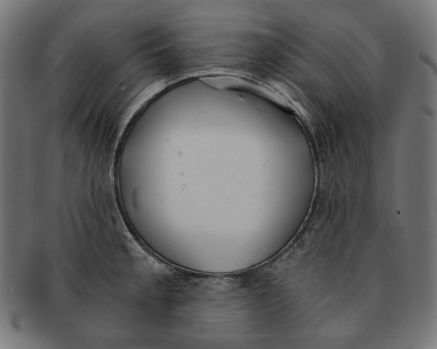 X0000091181189200709060948