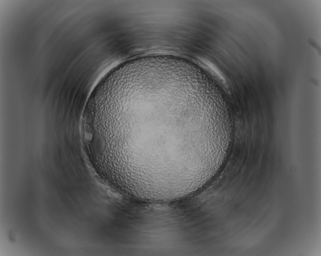 X0000091181190200709060948