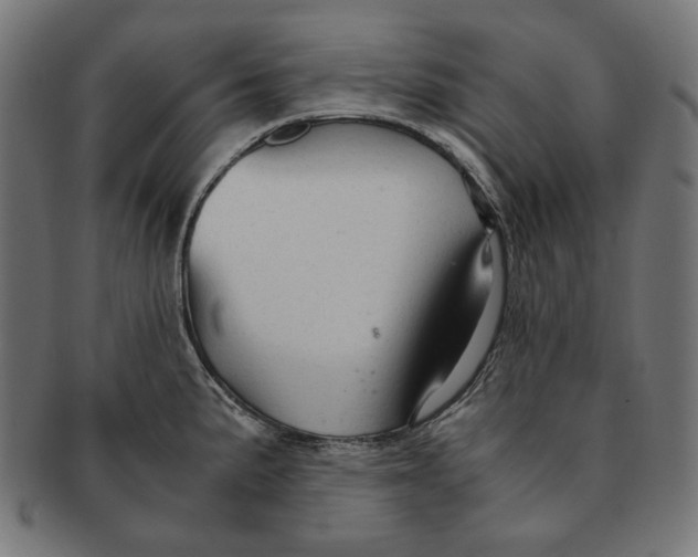 X0000091181191200709060948