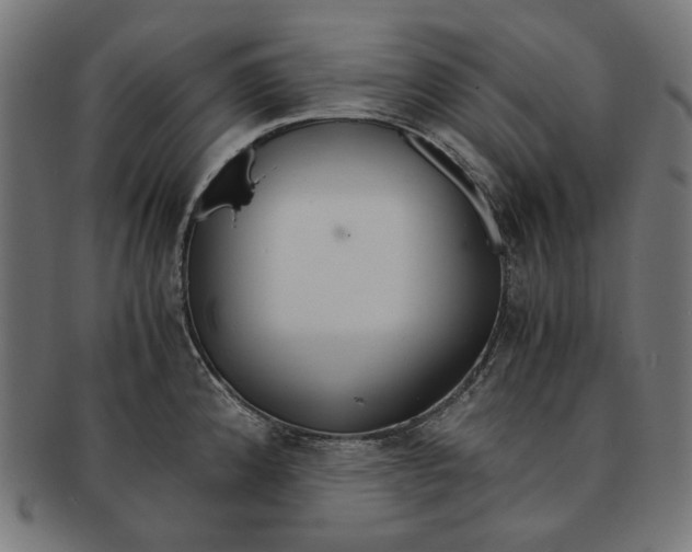 X0000091181192200709060948