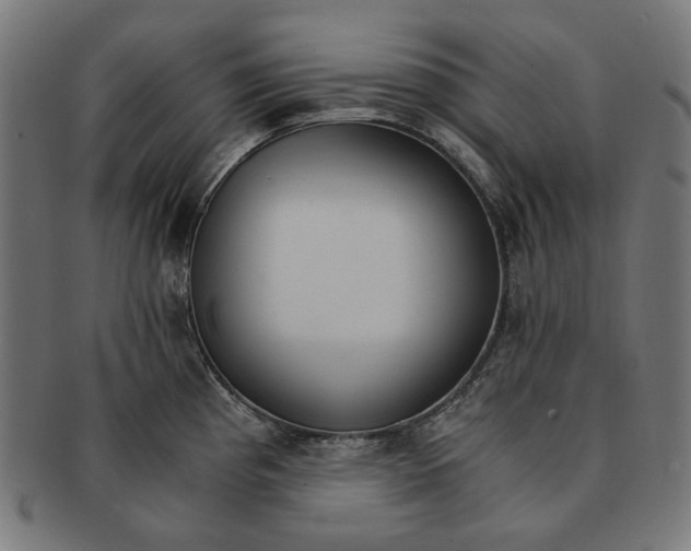 X0000091181193200709060948
