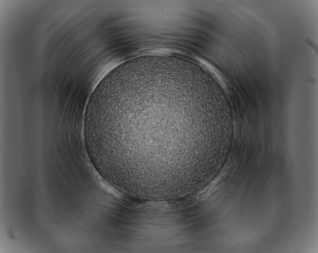 X0000091181194200709060948