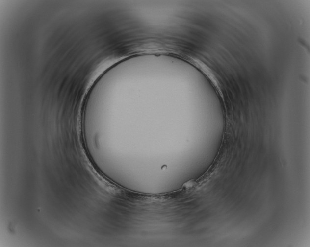 X0000091181195200709060948