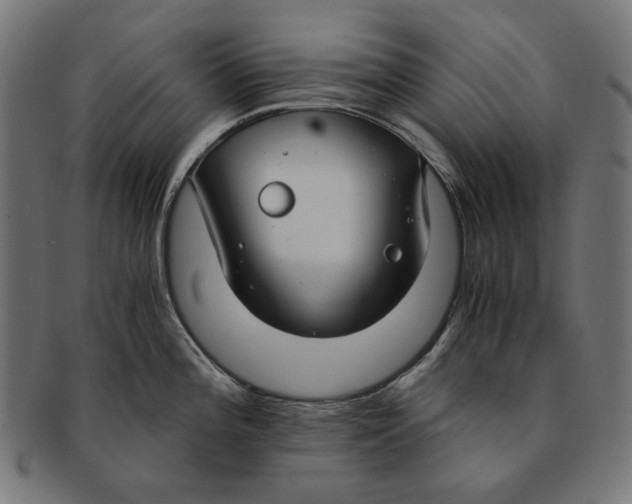 X0000091181196200709060948