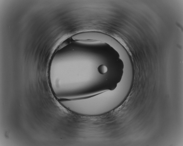 X0000091181197200709060948