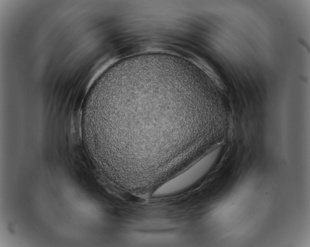 X0000091181198200709060948