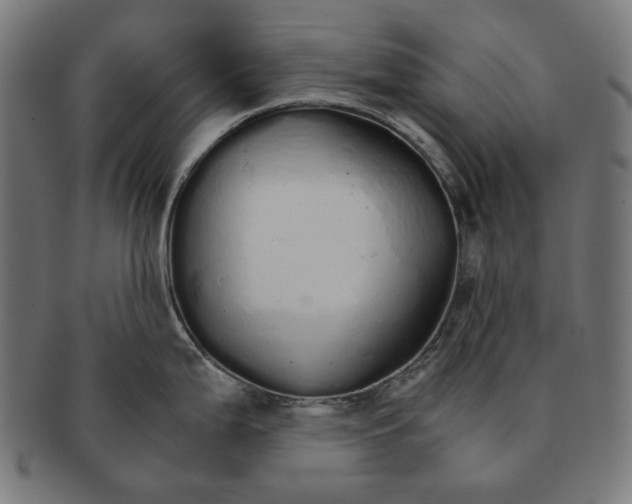 X0000091181199200709060948