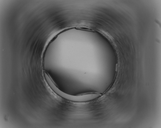 X0000091181200200709060948