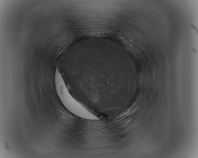 X0000091181202200709060947