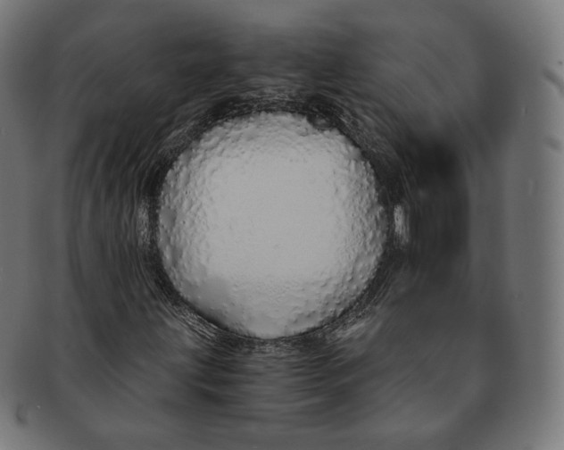 X0000091181203200709060947