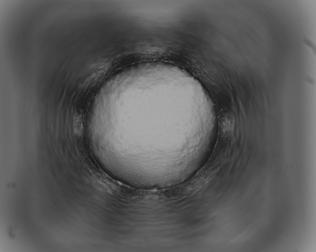 X0000091181204200709060947