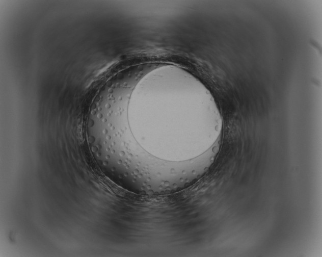 X0000091181205200709060947