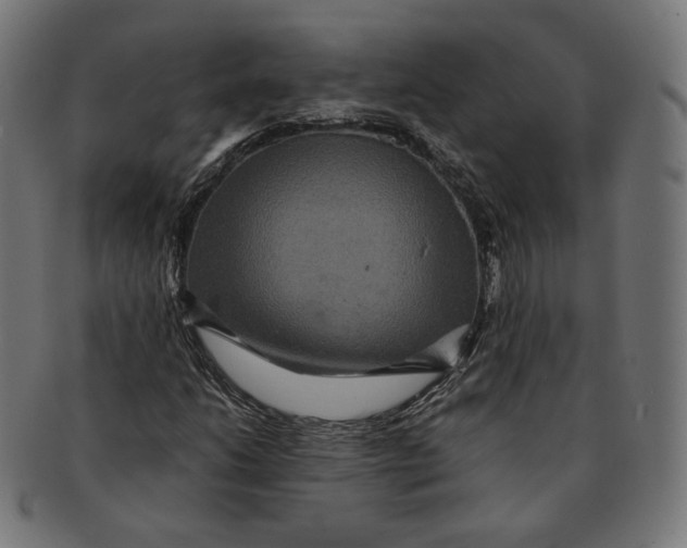 X0000091181206200709060947
