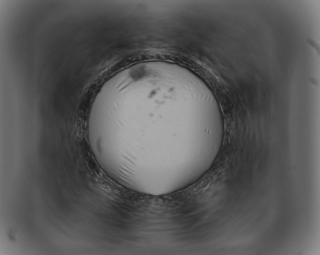 X0000091181207200709060947